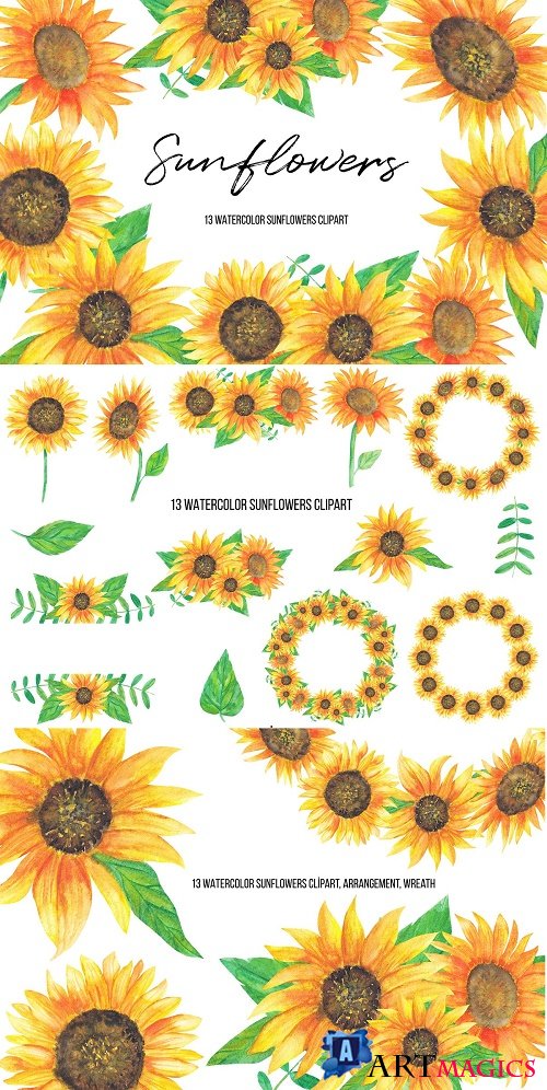 Watercolor Sunflowers Clipart - 4696533