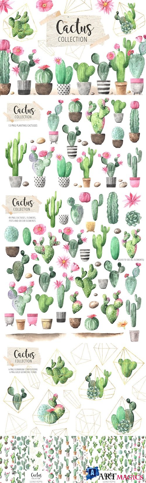 Watercolor Exotic Cactus Collection - 3330036