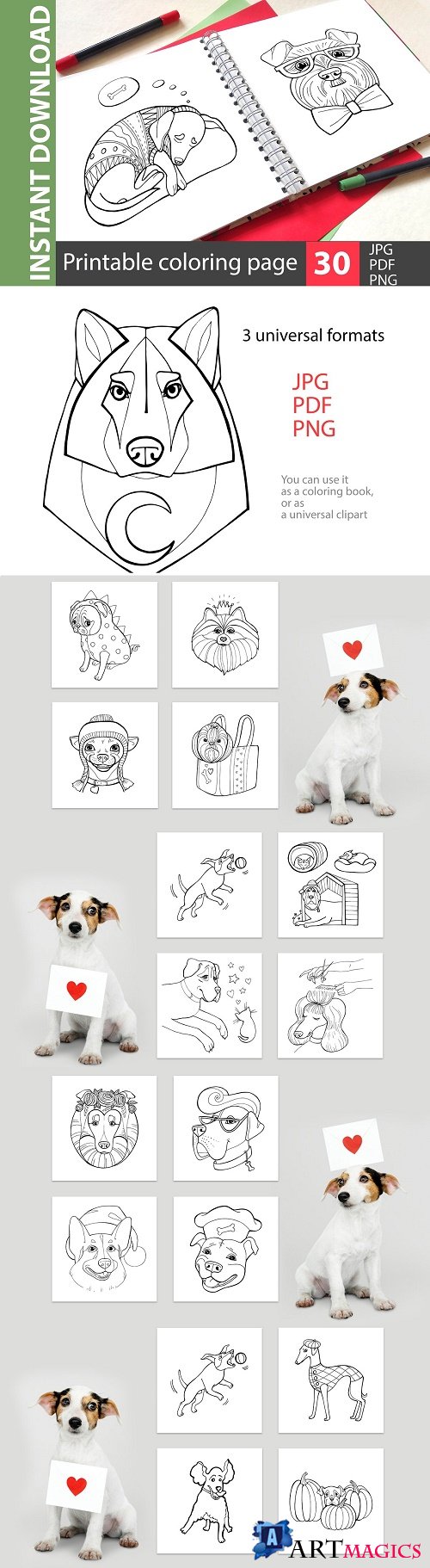 Liked dogs - big coloring book - 4699131