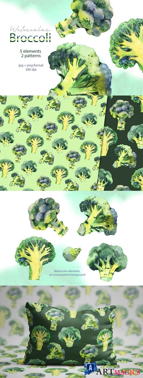 Broccoli. Watercolor cliparts - 4013114