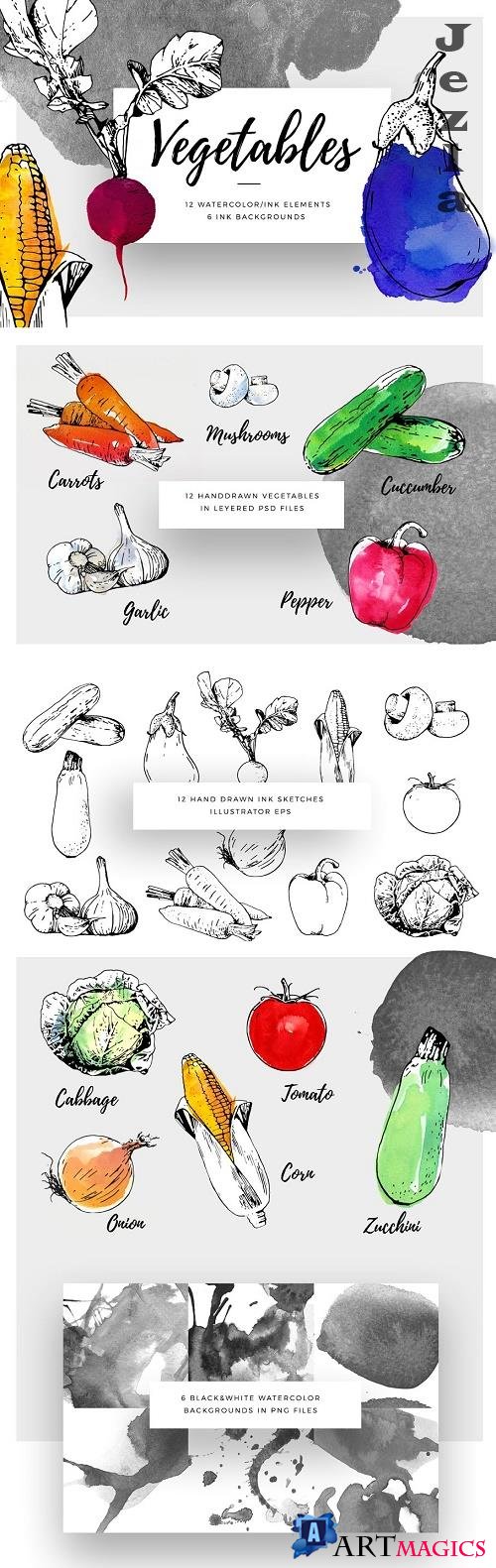 Ink Watercolour Vegetables - 778521