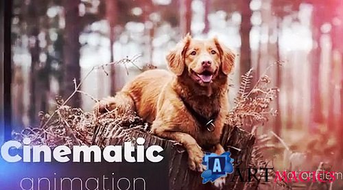 Cinematic Photo Opener 12258905 - After Effects Templates