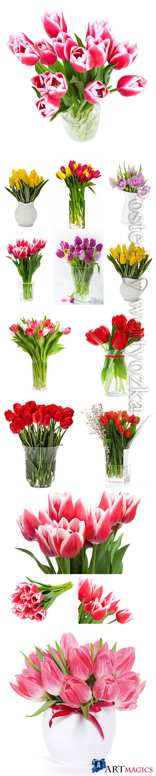 Beautiful tulips in vases stock photo