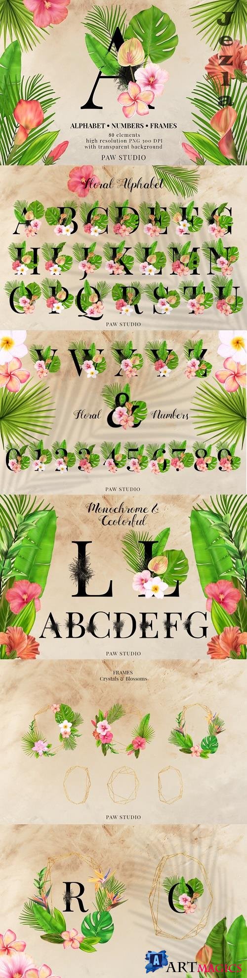 Tropical Graphic Letters Numbers Floral Frames Monogram - 532343
