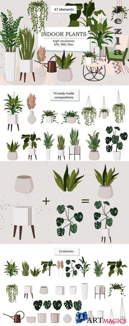 Indoor Plants Trendy Home decor - 4843074
