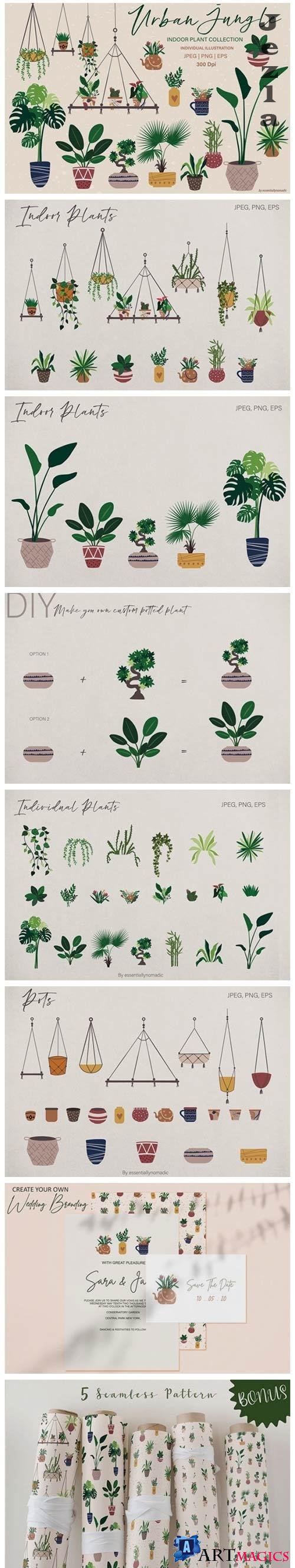 Hand Drawn Botanical Plant Illustration - 3967655