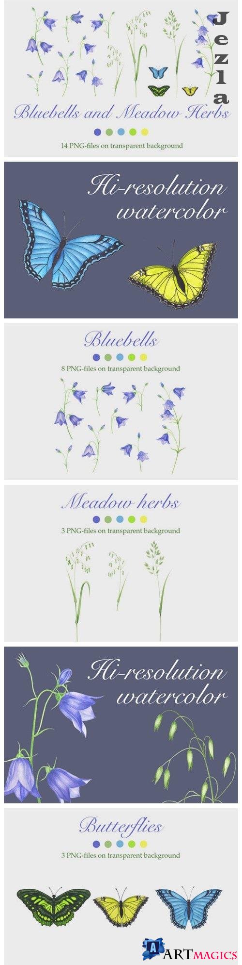 Bluebells and Meadow Herbs - 534294