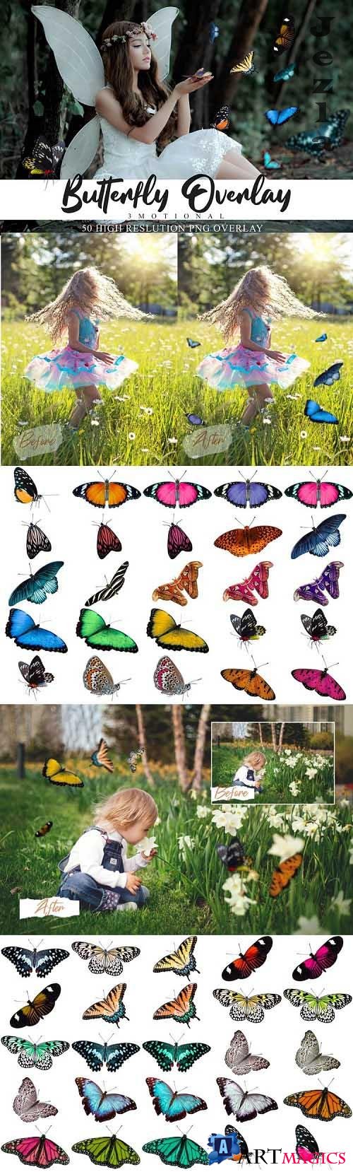 60 Butterflies Photo Overlays  - 557039