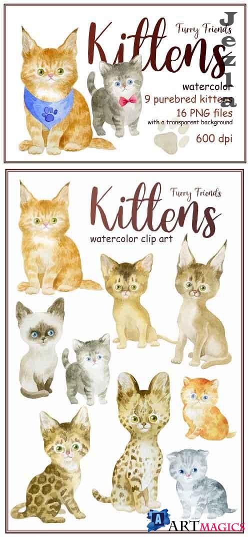 Furry friends. Kittens. Watercolor clip arts - 564237