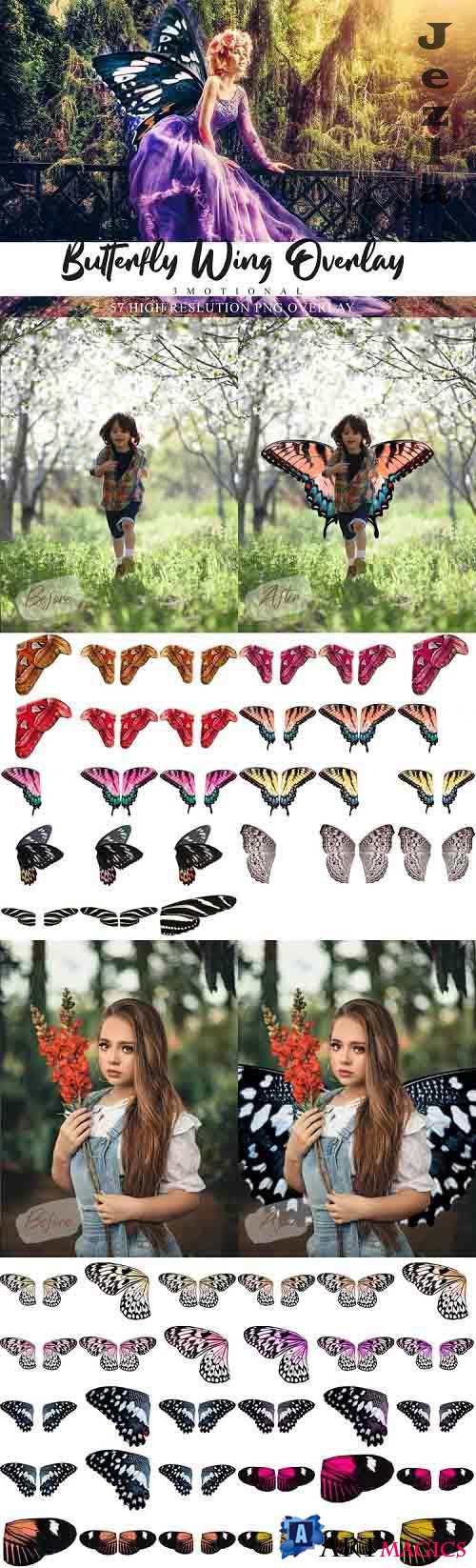 57 Colorful Butterfly Wing Overlays - 572911