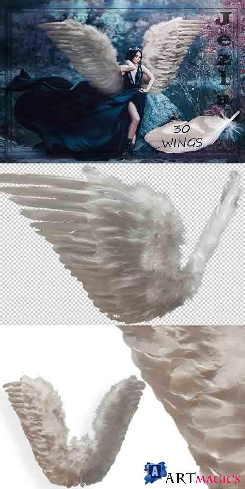 White Wings Overlays - 4769420