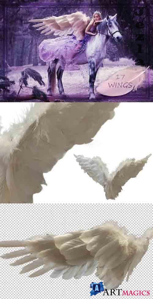 White Wings Overlays - 4769425