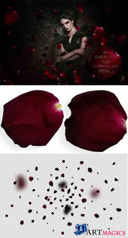 Blood Rose Petals Overlays