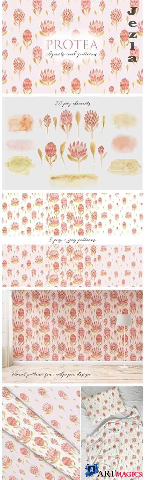 Watercolor Protea Flowers. Patterns - 3910528