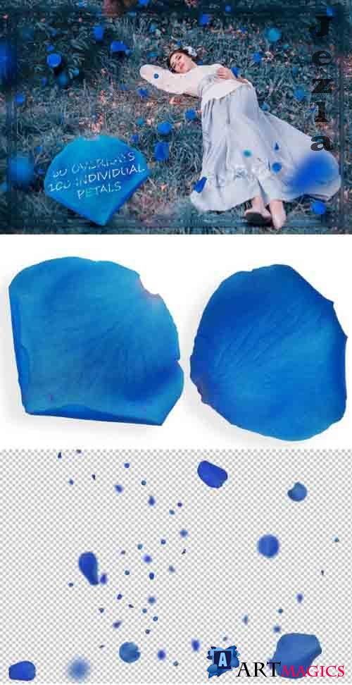 Blue Petals Overlays
