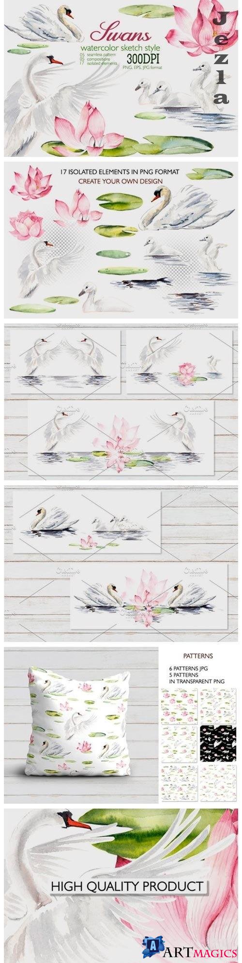 Watercolor swans - 351891