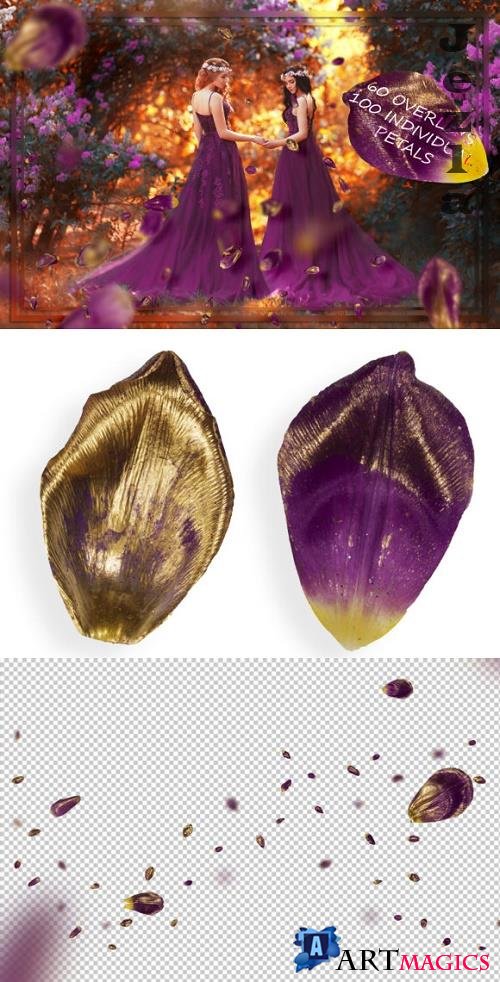 Gold & Purple Tulip Petals Overlays
