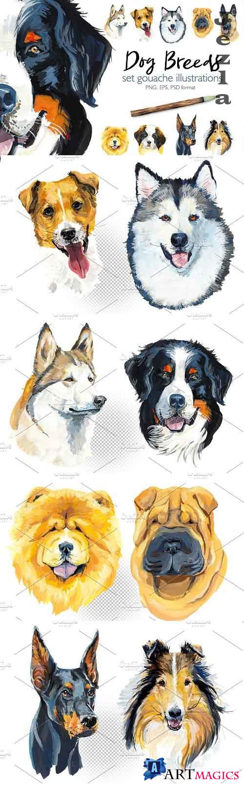 Dog breeds - 3716953