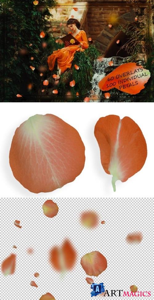 Orange Petals Overlays