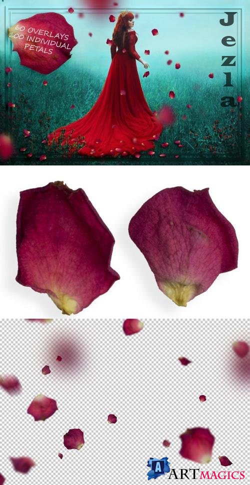 Old Red Petals Overlays