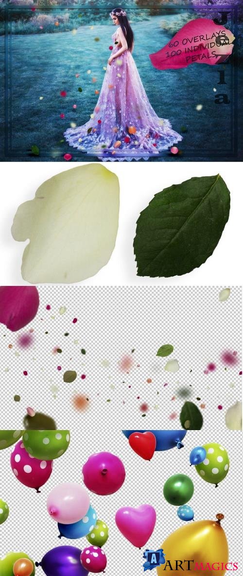 Mix Petals & Leaves Overlays