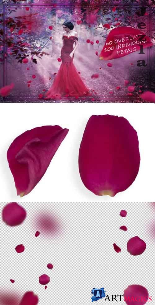 Pink Petals Overlays