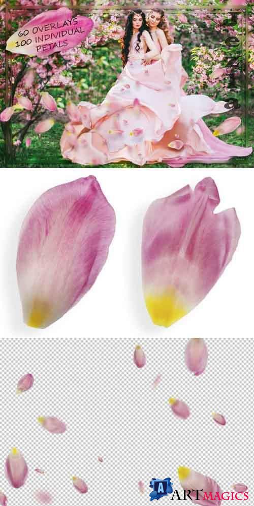 Pink Tulip Petals Overlays - 4188942