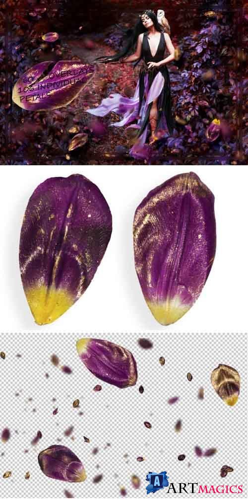 Purple & Gold Tulip Petals Overlays - 4188945