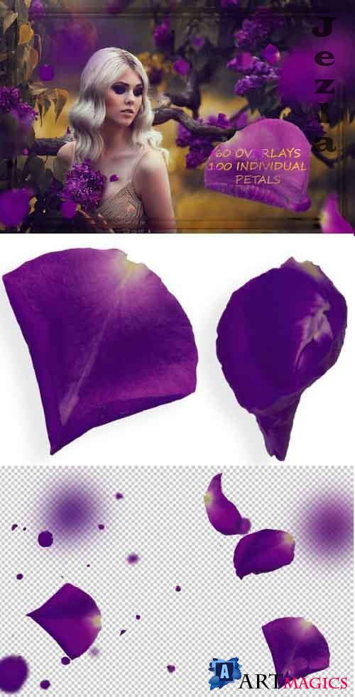 Purple Petals Overlays