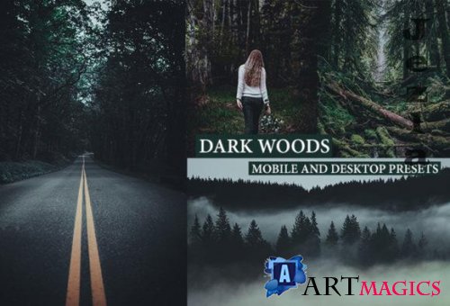 Cinematic Dark Woods Lightroom Presets