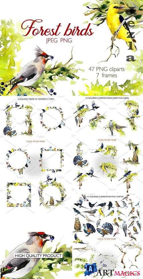 Watercolor forest birds. Frames - 3631731