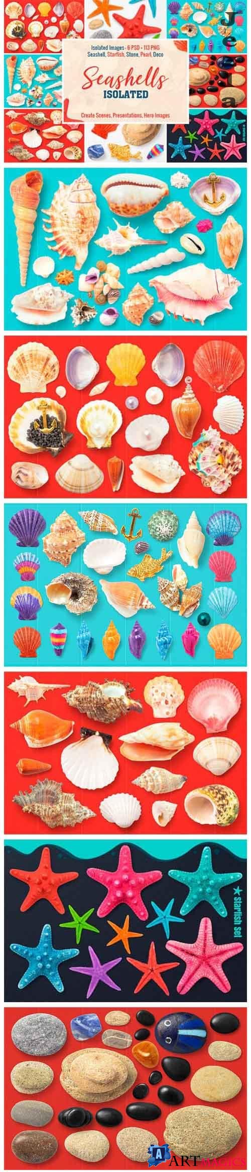 Isolated Seashells & Stones - 1776922