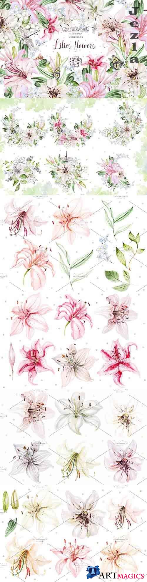 Hand Drawn watercolor flowers lily 2 - 5016942