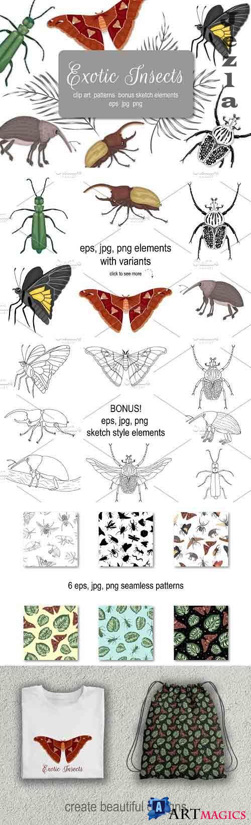 Exotic Insects - 4263317