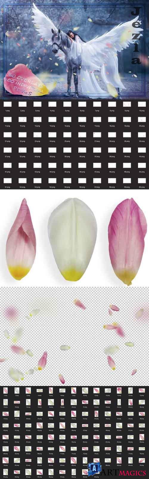 Mix Tulip Petals Overlays