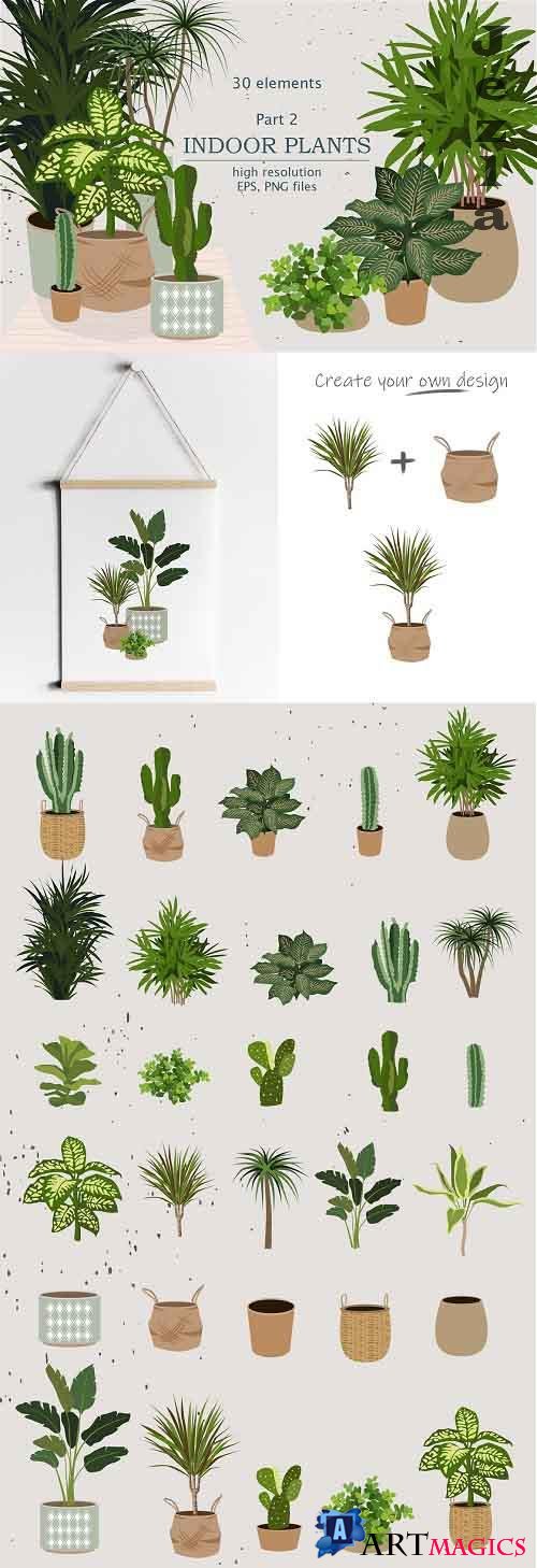 Indoor Plants | Part 2 - 5094286