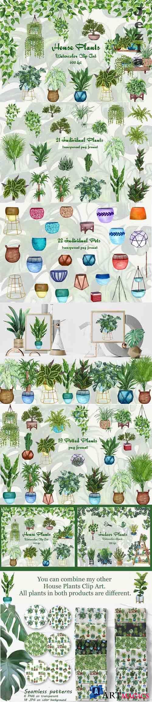 House Plants Watercolor Clip Art 600dpi - 611501