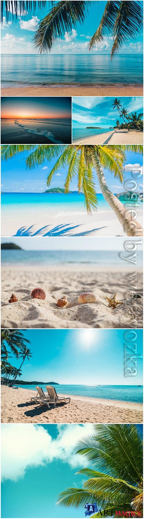 Beautiful tropical beach sea with coconut palm tree stock photo
