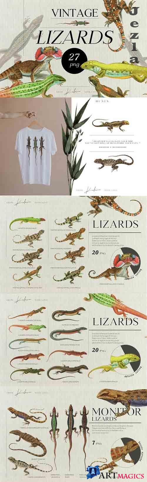 Vintage lizards - retro illustrations set - 756826