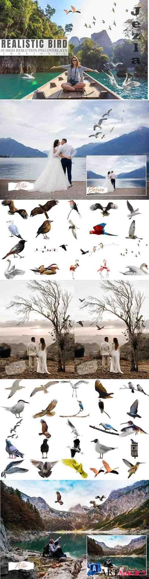 45 Realistic Bird Overlays - 784826