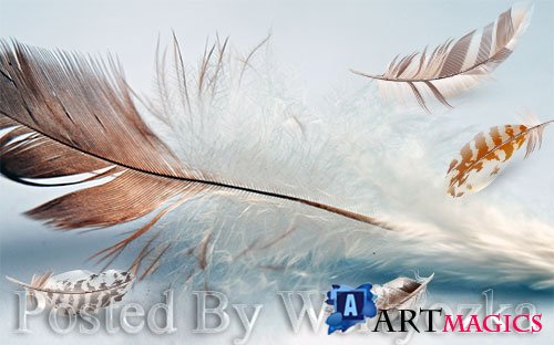 3D psd models fresh modern minimalist flowing feather tv background wall