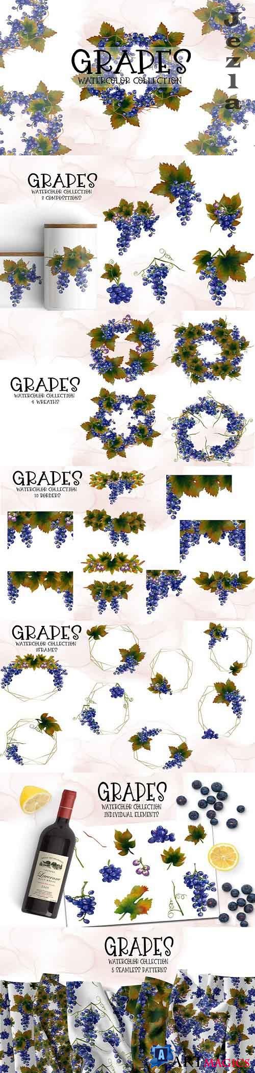 Grapes Watercolor Collection - 846814