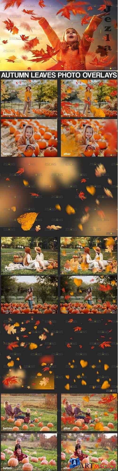 Autumn leaf overlay & Photoshop overlay Fall overlay - 895365