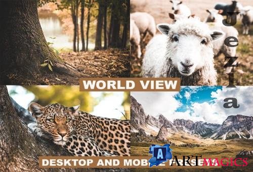 Lightroom Presets World View Premium