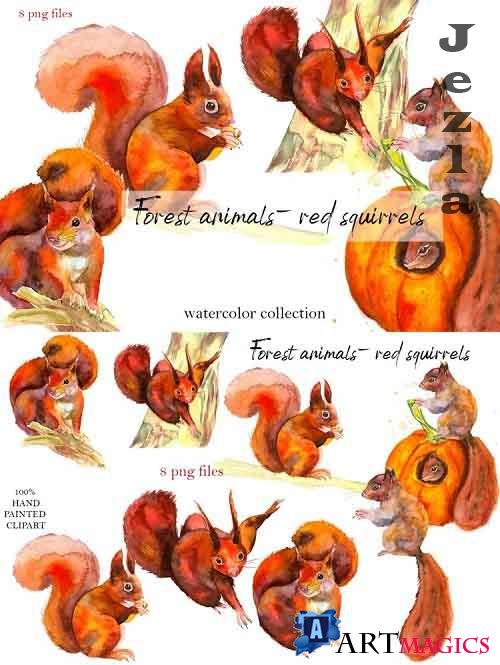 Forest animals - red squirrels. Watercolor - 905967