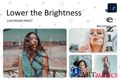 CreativeMarket - Lower Brightness - Lightroom Presets 5227335