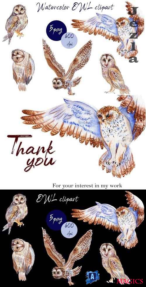 BOHO owl clipart.Watercolor woodland - 1018807