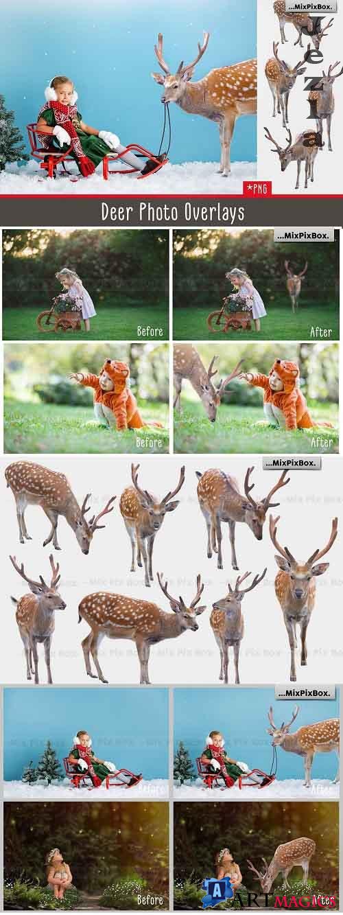Deer Photo Overlays - 5814758