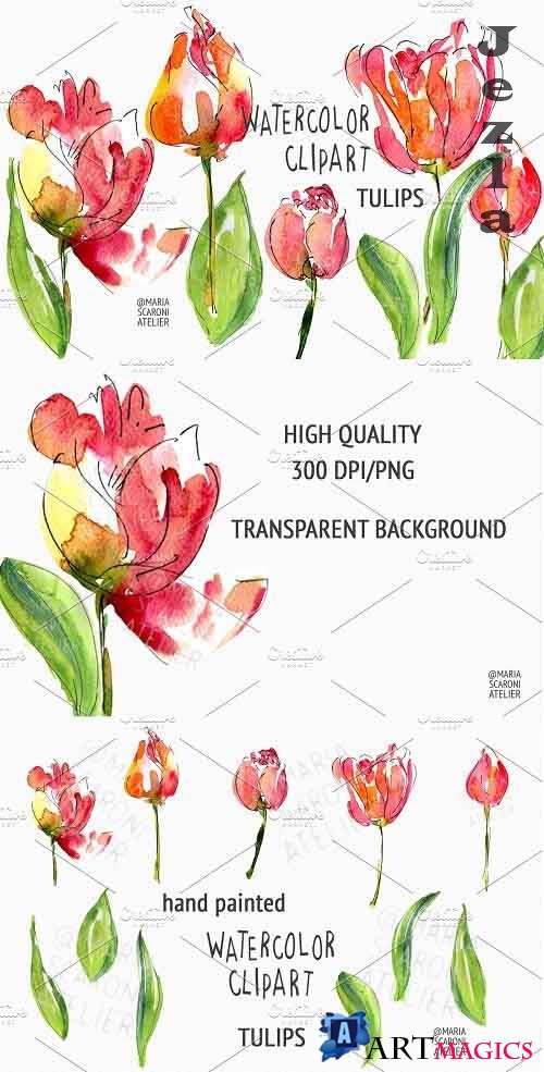Tulip Watercolor Clipart - 5806767