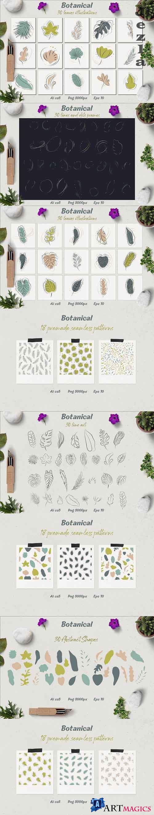 Botanical - leaves illustrations - 4824083